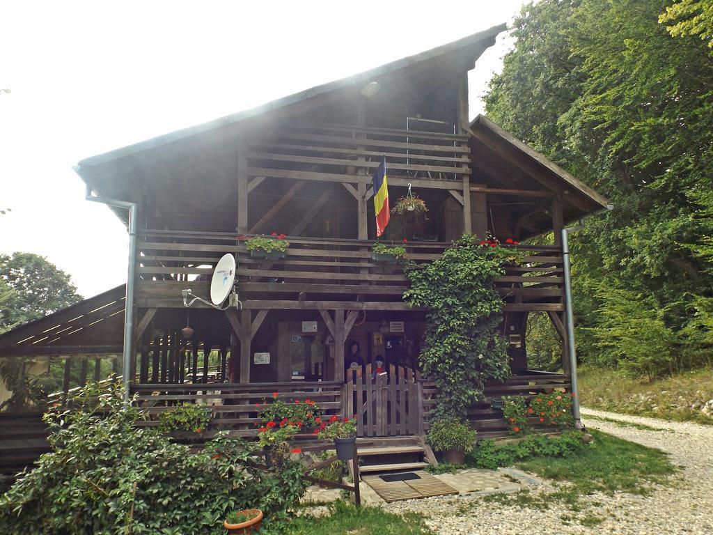 Cabana La Noi Hotel Risnov Bagian luar foto