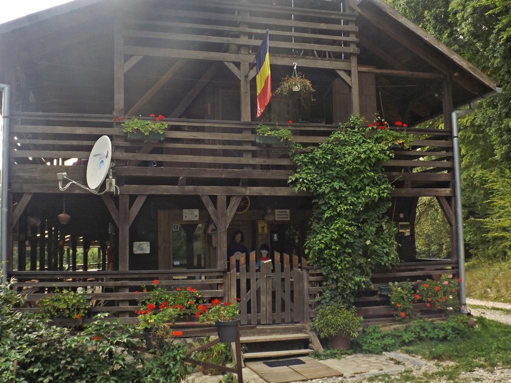 Cabana La Noi Hotel Risnov Bagian luar foto