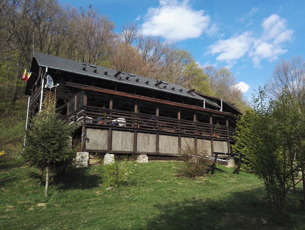 Cabana La Noi Hotel Risnov Bagian luar foto