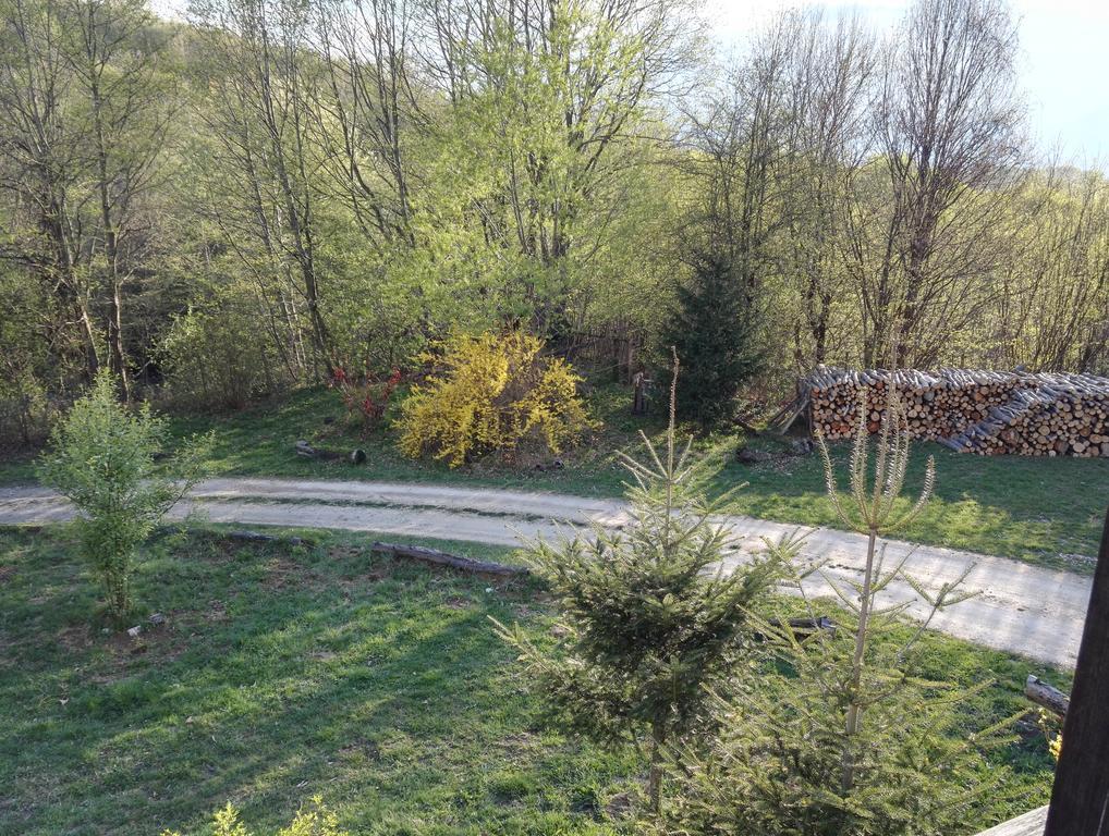 Cabana La Noi Hotel Risnov Bagian luar foto