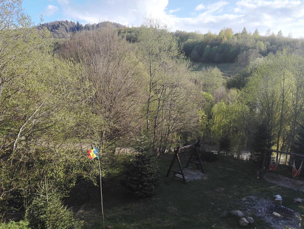 Cabana La Noi Hotel Risnov Bagian luar foto