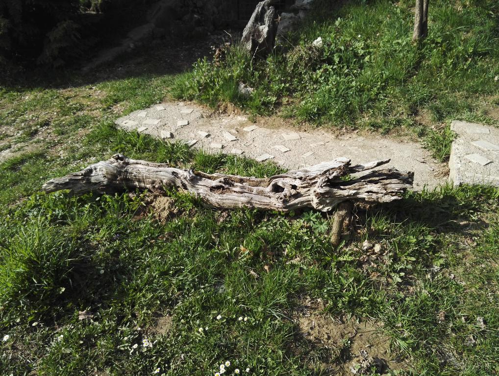 Cabana La Noi Hotel Risnov Bagian luar foto