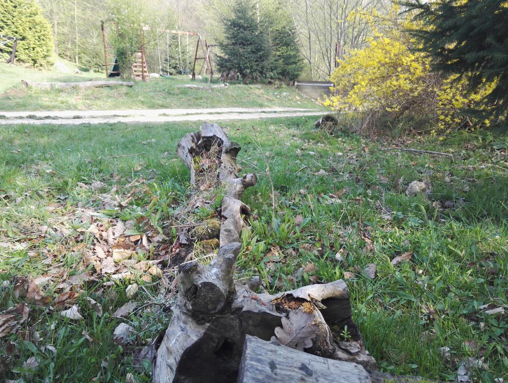 Cabana La Noi Hotel Risnov Bagian luar foto