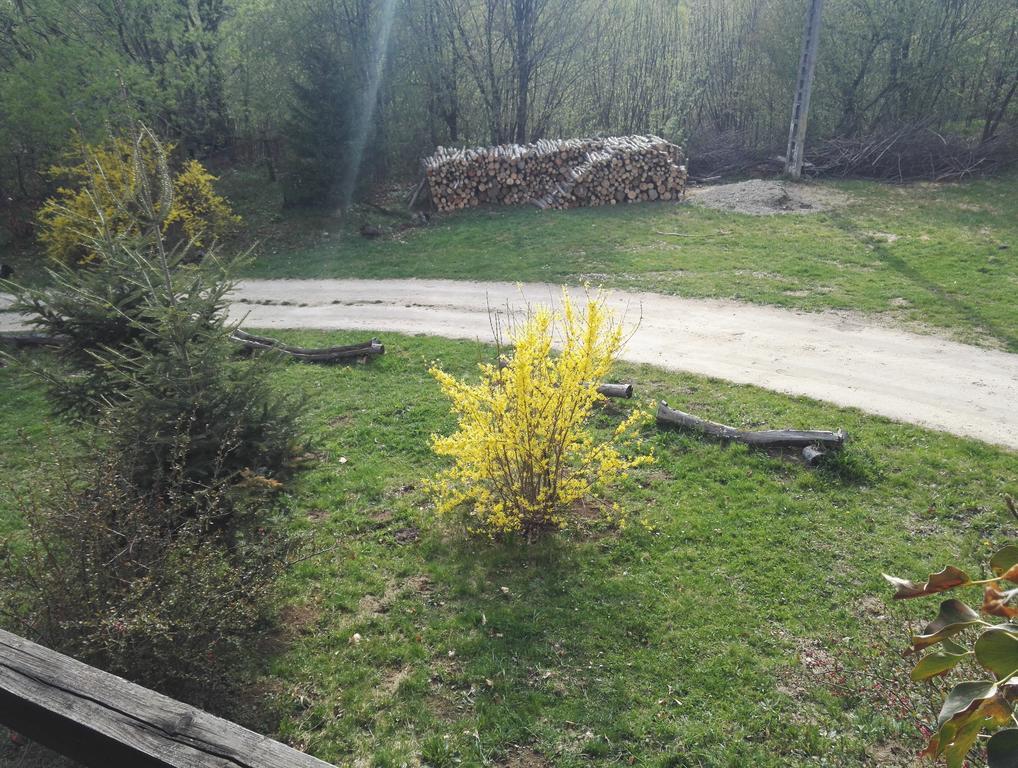 Cabana La Noi Hotel Risnov Bagian luar foto