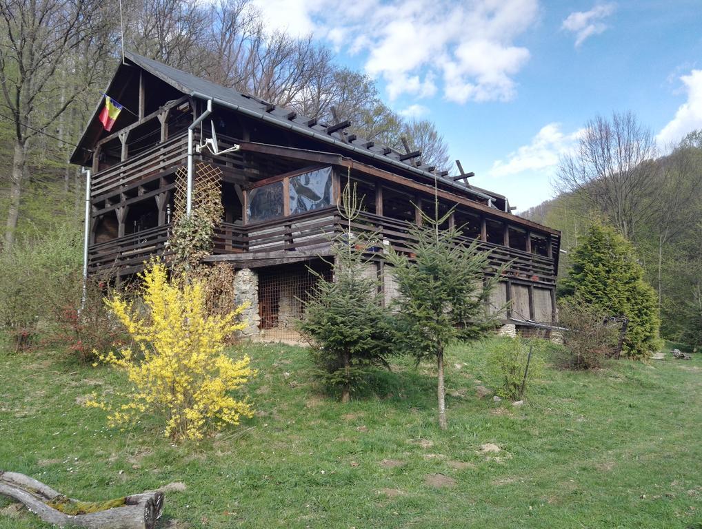 Cabana La Noi Hotel Risnov Bagian luar foto